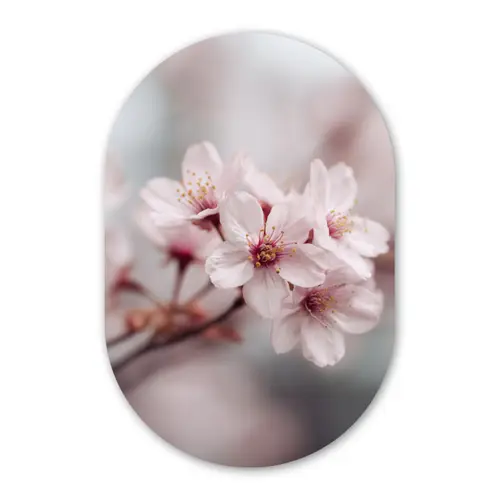 Bloesems - Meeldraden - Geel - Wazig Wandcirkel Ovaal Forex klein -3d