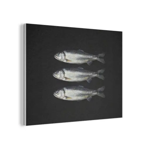 Haring - Vissen - Zwart PET vilt klein -3d
