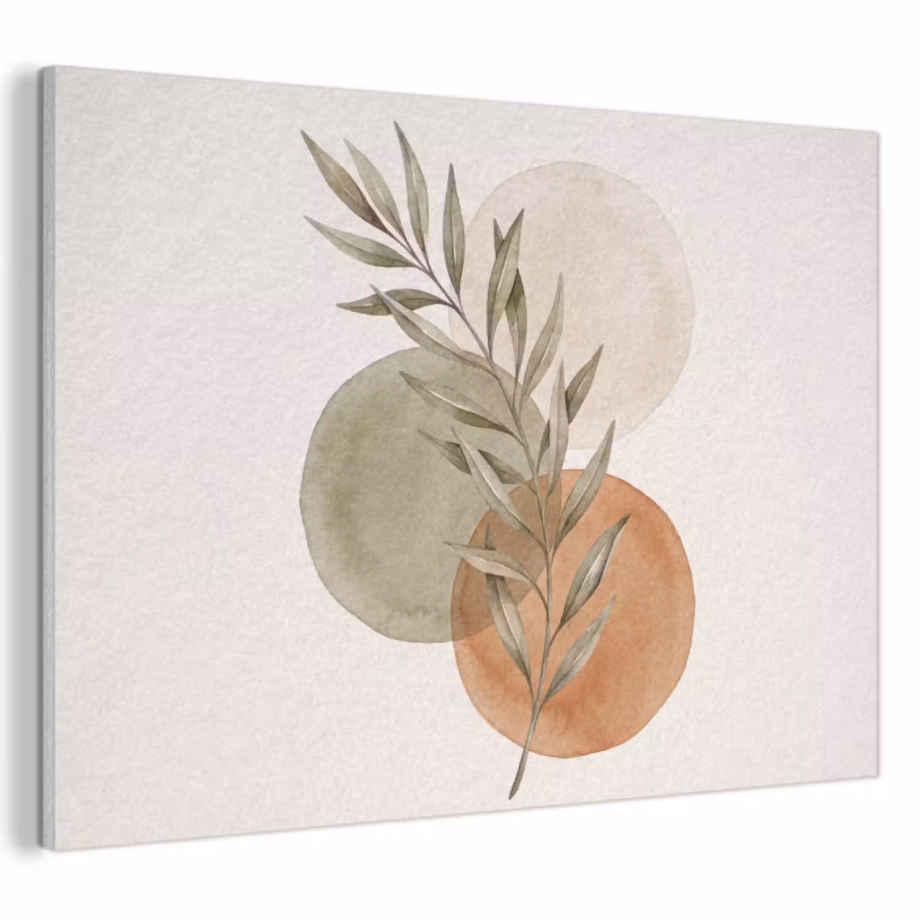 Plant - Cirkels - Abstract PET vilt klein -3d