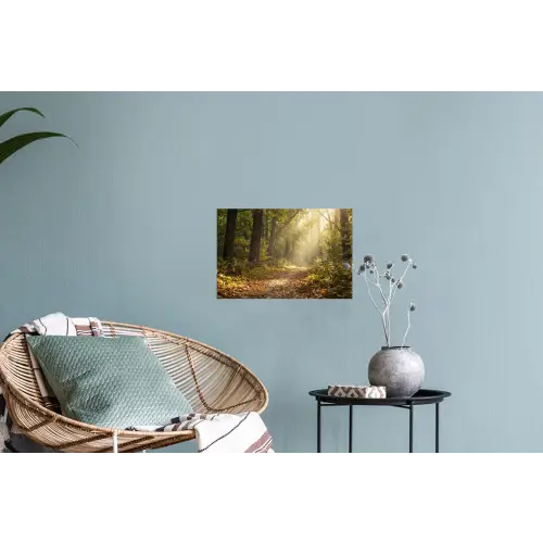 Zonlicht - Bospad - Bomen Muursticker klein -plant