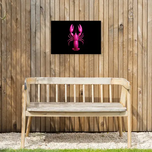 Kreeft - Felroze - Stippen - Opvallend Tuinposter op houten frame 2 cm dik klein -sfeer4