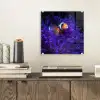 Koraal - Vis - Oranje - Zee plexiglas 5mm klein -sfeer1