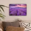 Lavendel - Paars - Bloemen - Veld canvas 2cm klein -sfeer1