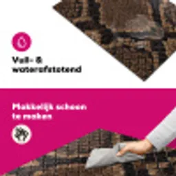 Python - Schubben - Brons Inductie beschermer vinyl 3mm klein -wsfeer6_website