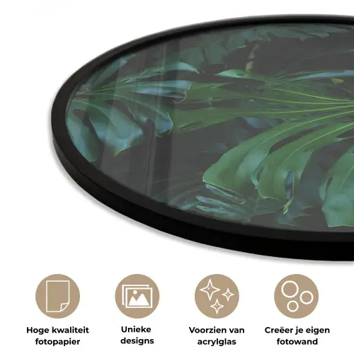 Monstera - Bladeren - Tropical Fotolijst rond zonder passe partout klein -closeup_NL