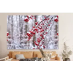 Bessen - Takken - Sneeuw - Winter - Kleurrijk forex 5mm xxl -bovenbank