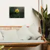 Bloem - Narcis - Gras - Geel tuinposter los doek klein -sfeer7