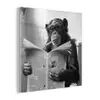 Chimpansee - Aap - Krant - WC - Humor plexiglas 5mm klein -z3d