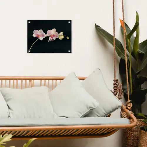 Orchidee - Bloemen - Zwart - Roze - Knoppen tuinposter los doek klein -sfeer7