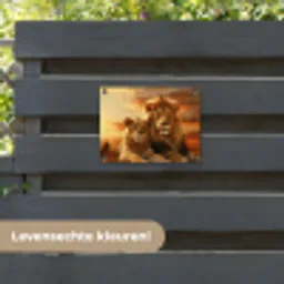 Leeuwenpaar bij zonsondergang tuinposter los doek klein -sfeer3