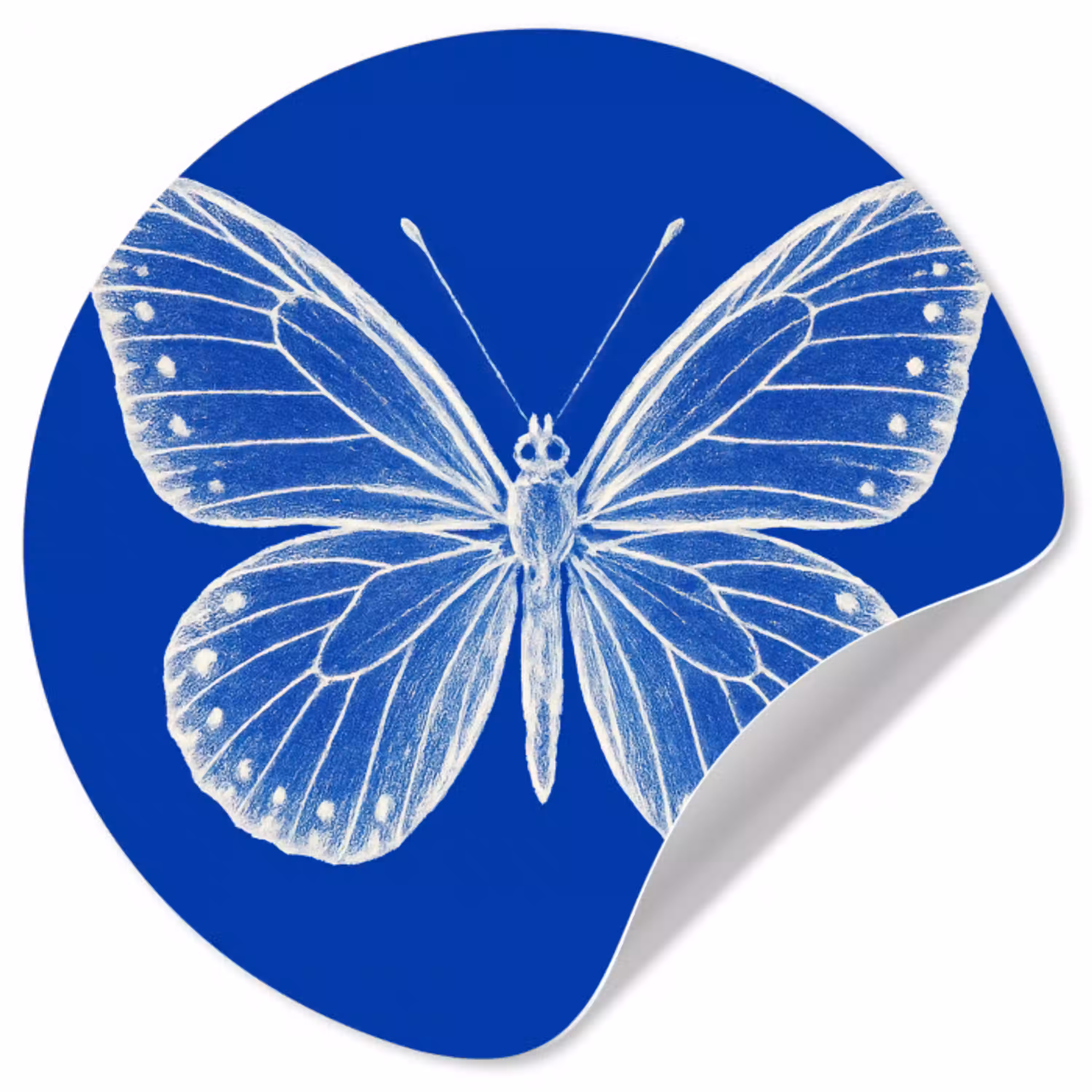 Vlinder - Wit - Getekend - Stippen Wandcirkel behangsticker klein -3d