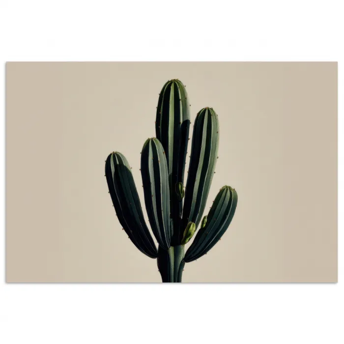 Cactus - Subtiel - Groen poster papier klein -3d