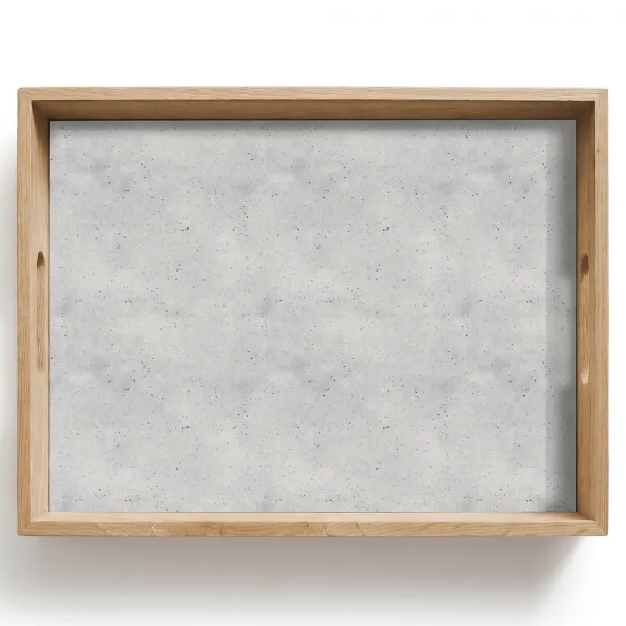 Grijs - Beton - Neutraal Dienblad Rechthoek middel 911 -z3d_shopping
