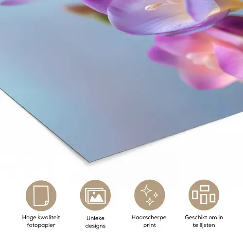 Bloemen - Paars - Overloop - Meeldraden poster papier klein -closeup_NL