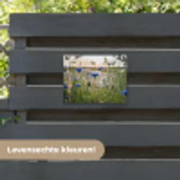 Korenbloemen in het avondlicht tuinposter los doek klein -sfeer3
