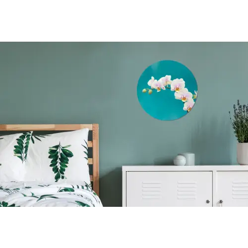 Orchidee - Bloemen - Plant - Wit - Paars Wandcirkel aluminium klein -slaapkamer