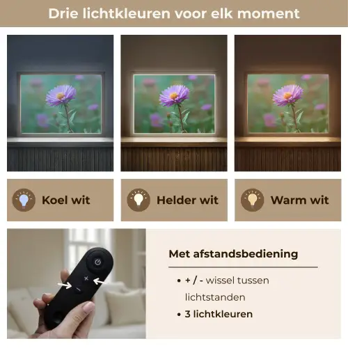 Aster - Paars - Bloem - Blaadjes Light Box met batterij (Wandlamp) middel -USP_lichtkleurNL