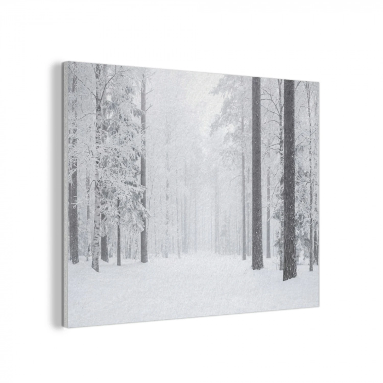 Bos - Sneeuw - Pad - Winter - Stilte PET vilt klein -3d