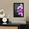 Orchidee - Bloemen - Roze - Flora fotolijst zwart zonder passe partout klein -sfeer1
