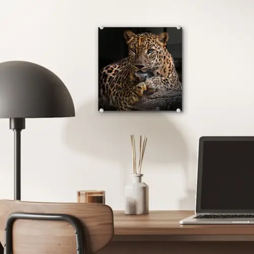 Wilde dieren - Panter - Portret - Zwart - Dieren plexiglas 5mm klein -sfeer6