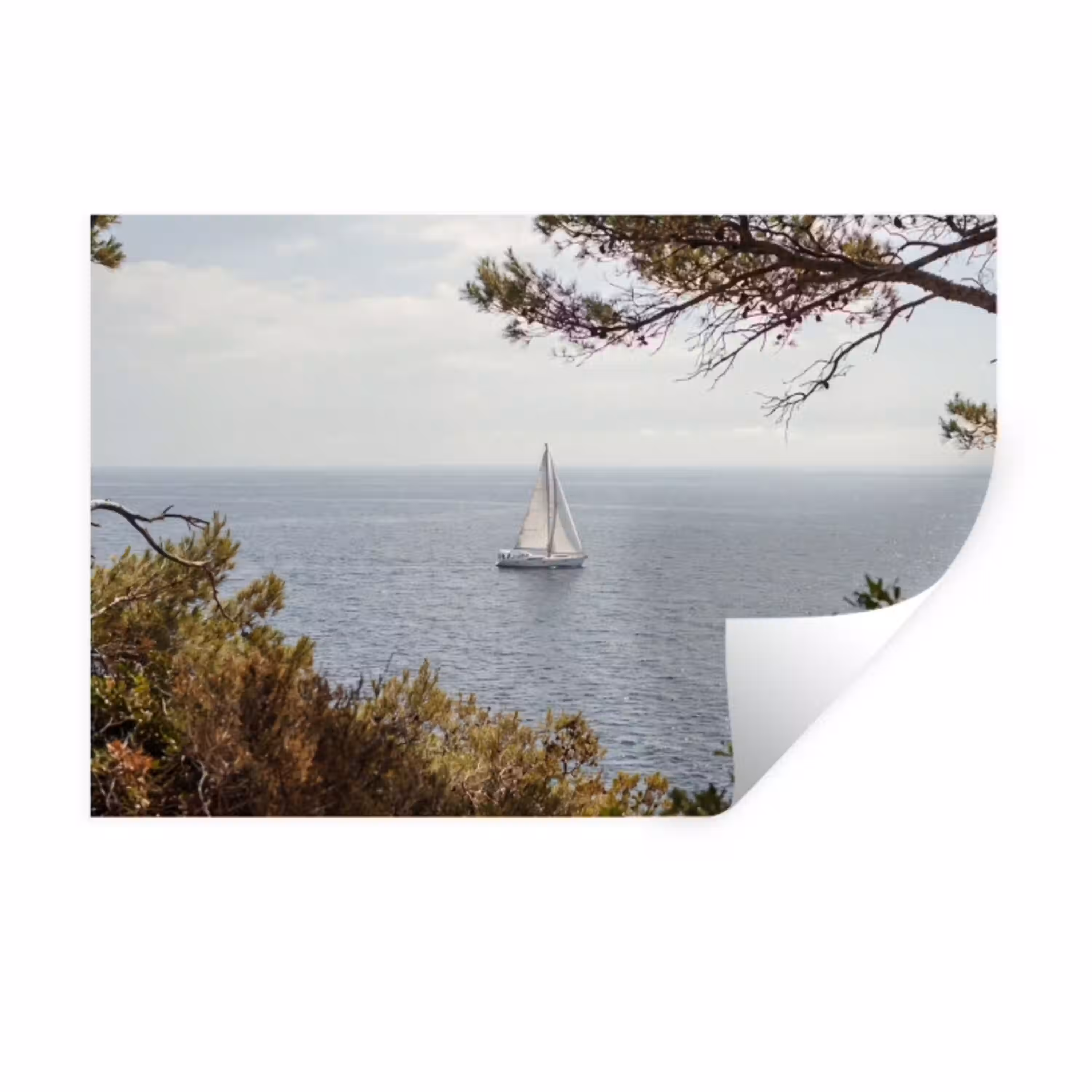Zeilboot - bomen - water Muursticker klein -3d