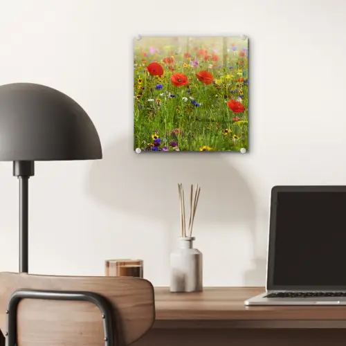Lente - Bloemen - Rood - Klaproos - Gras - Groen plexiglas 5mm klein -sfeer6