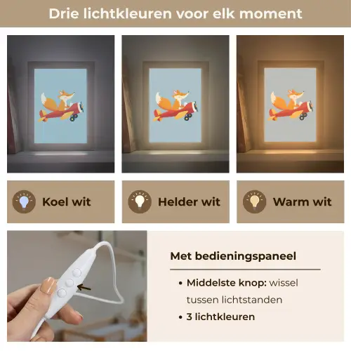 Vos - Vliegtuig - Blauw Light Box met kabel klein -USP_lichtkleurNL