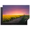 Bloemen - Weg - Lucht - Geel - Paars - Zonsondergang - Natuur Inductie beschermer vinyl 3mm klein -3d