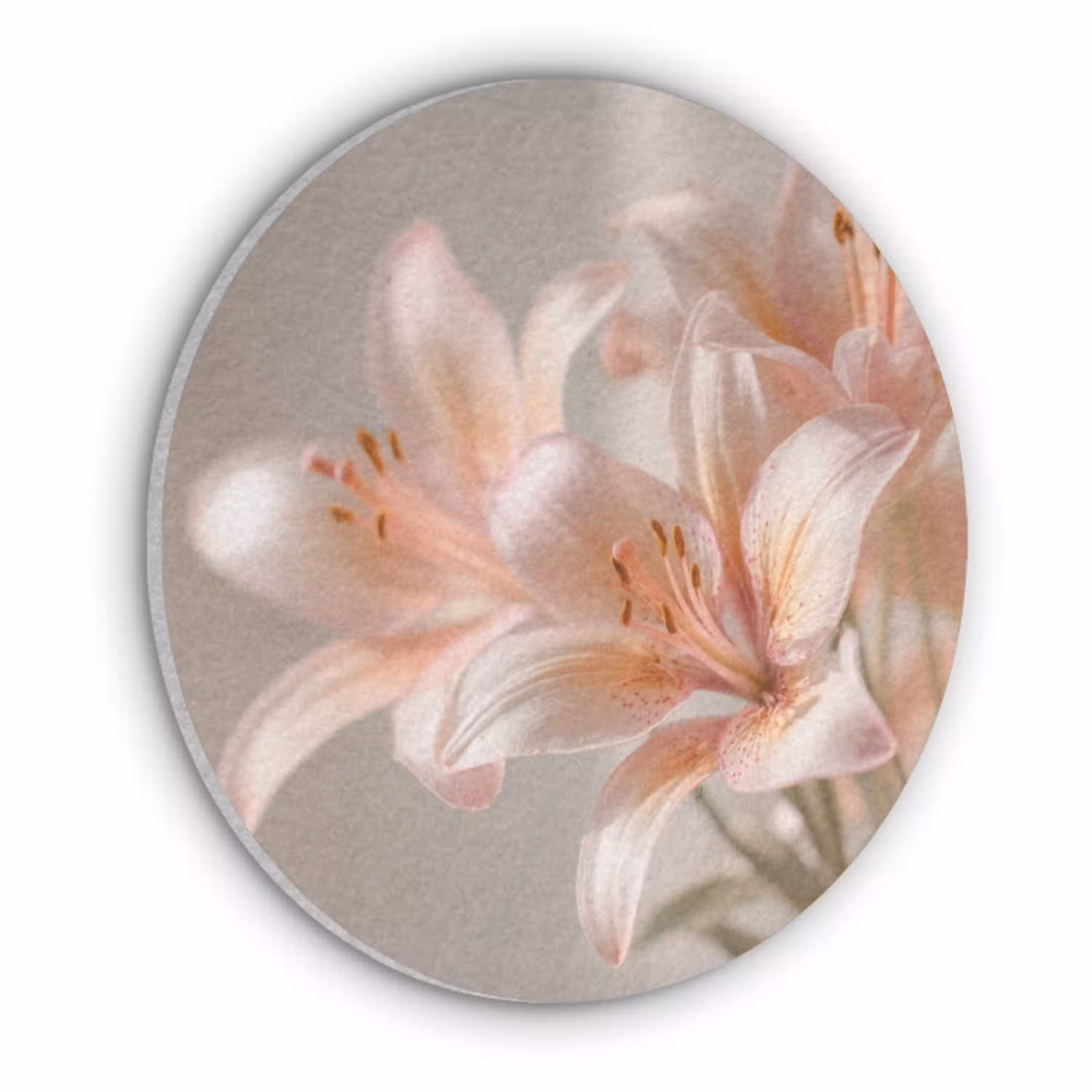 Lelies - Meeldraden - Roze - Wazig Akoestische PET Vilt - Rond klein -3d