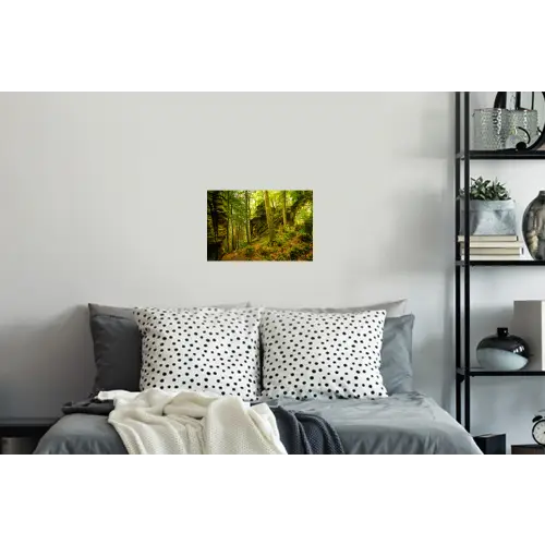 Bomen - Steen - Bos - Natuur Muursticker klein -slaapkamer