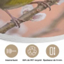 Groenling - Katjes - Lente - Natuur - Zacht Akoestische PET Vilt - Rond klein -closeup_FR