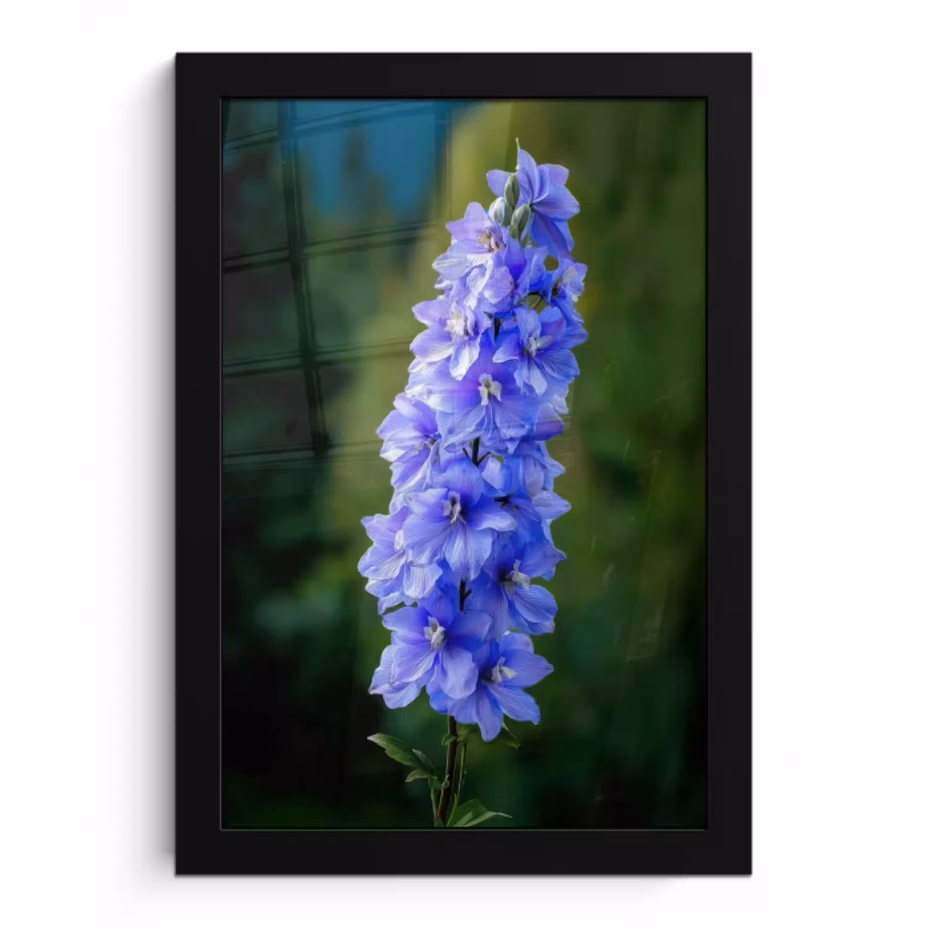 Bloemen - Blauw - Dennenboom fotolijst zwart zonder passe partout klein -3d