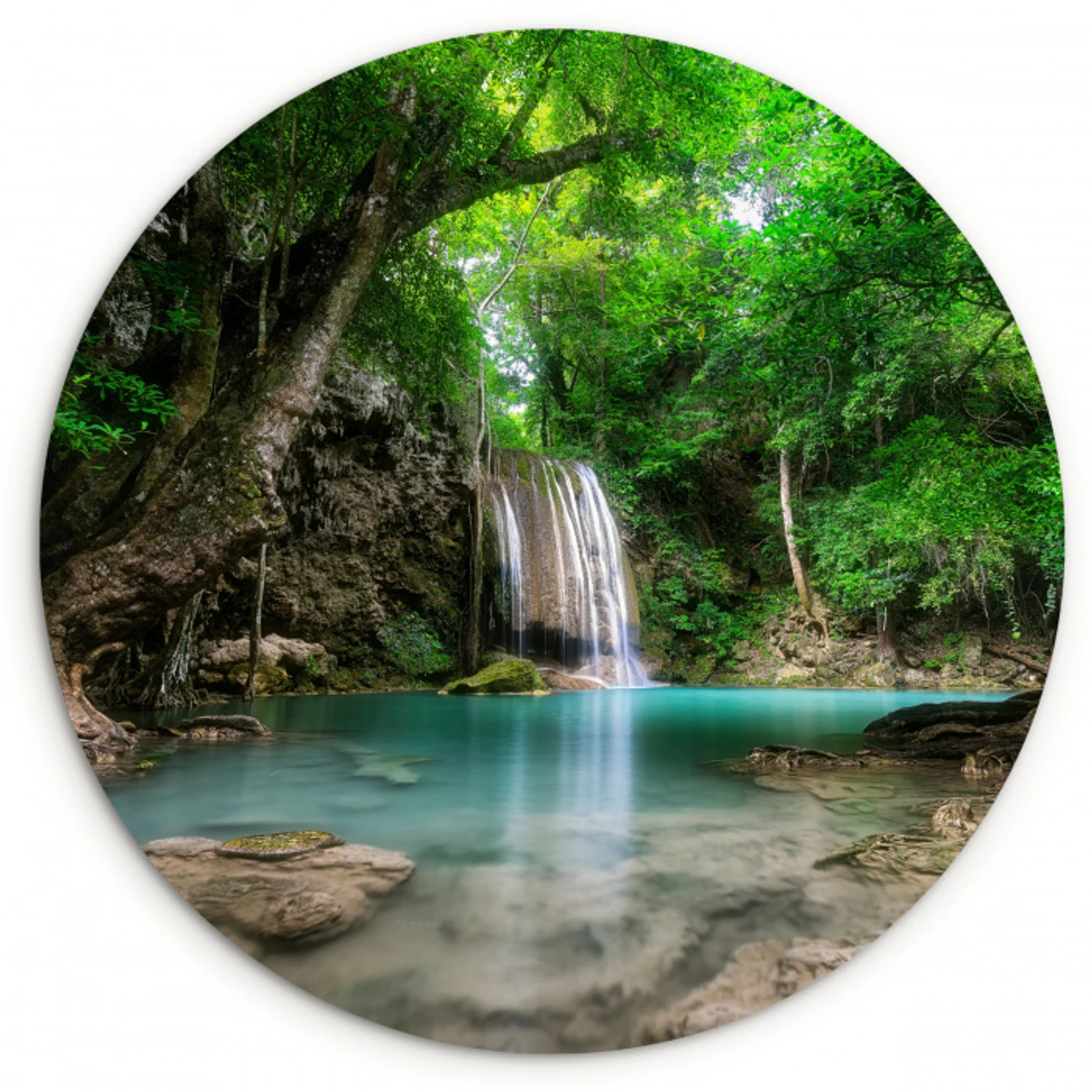 Jungle - Waterval - Planten - Water - Natuur Wandcirkel kunststof plaat 5mm dik klein -3d