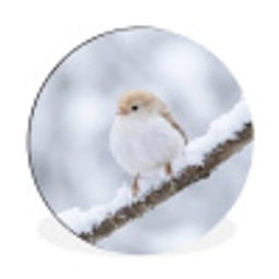 Vogeltje - Sneeuw - Tak - Winter - Zacht Wandcirkel aluminium klein -3d