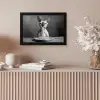 Sphynx - Kat - Dieren - Humor - Spaghetti - Zwart Wit fotolijst zwart zonder passe partout klein -sfeer5