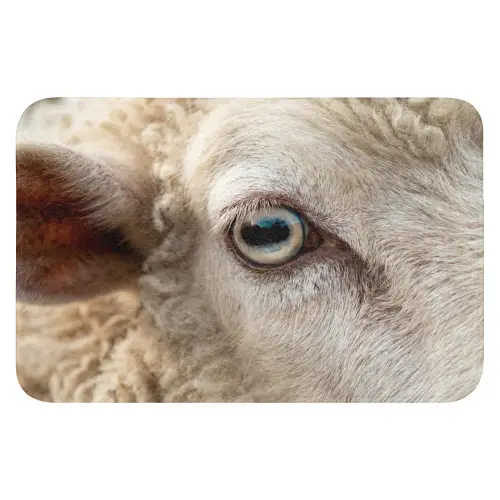 Schaap - Oog - Wit WCmat klein -3d