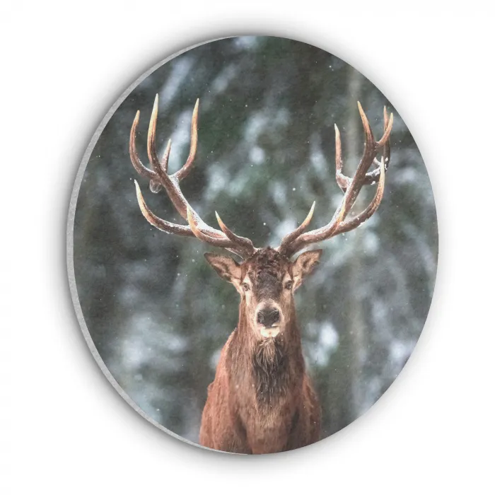 Hert - Winter - Sneeuw - Bos - Natuur - Dier Akoestische PET Vilt - Rond klein -3d