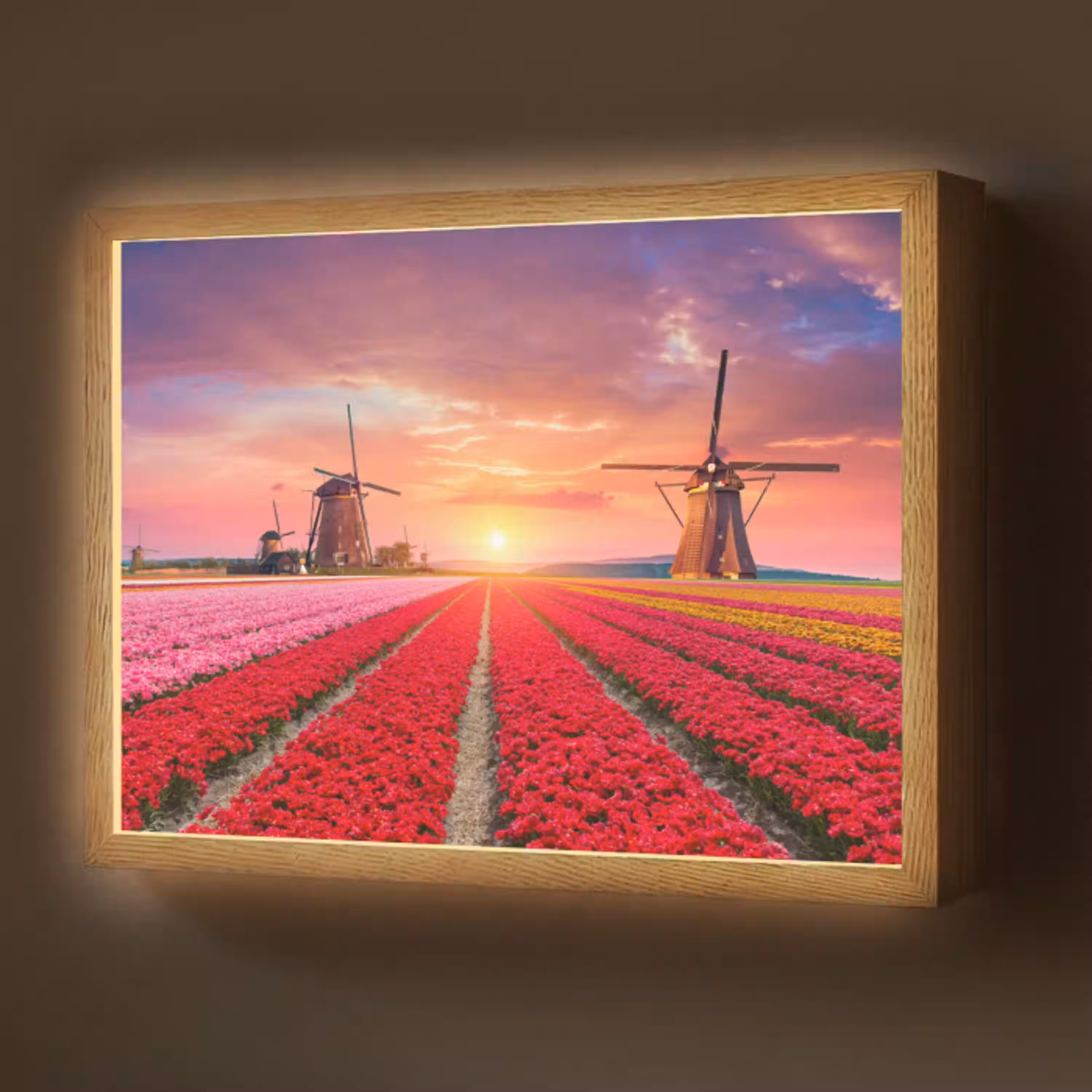 Bloemen - Tulpen - Bloemenveld - Molens - Holland Light Box met batterij (Wandlamp) middel -z3d_website