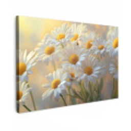 Madeliefjes - Wit - Zonlicht Tuinposter op houten frame 2 cm dik klein -3d