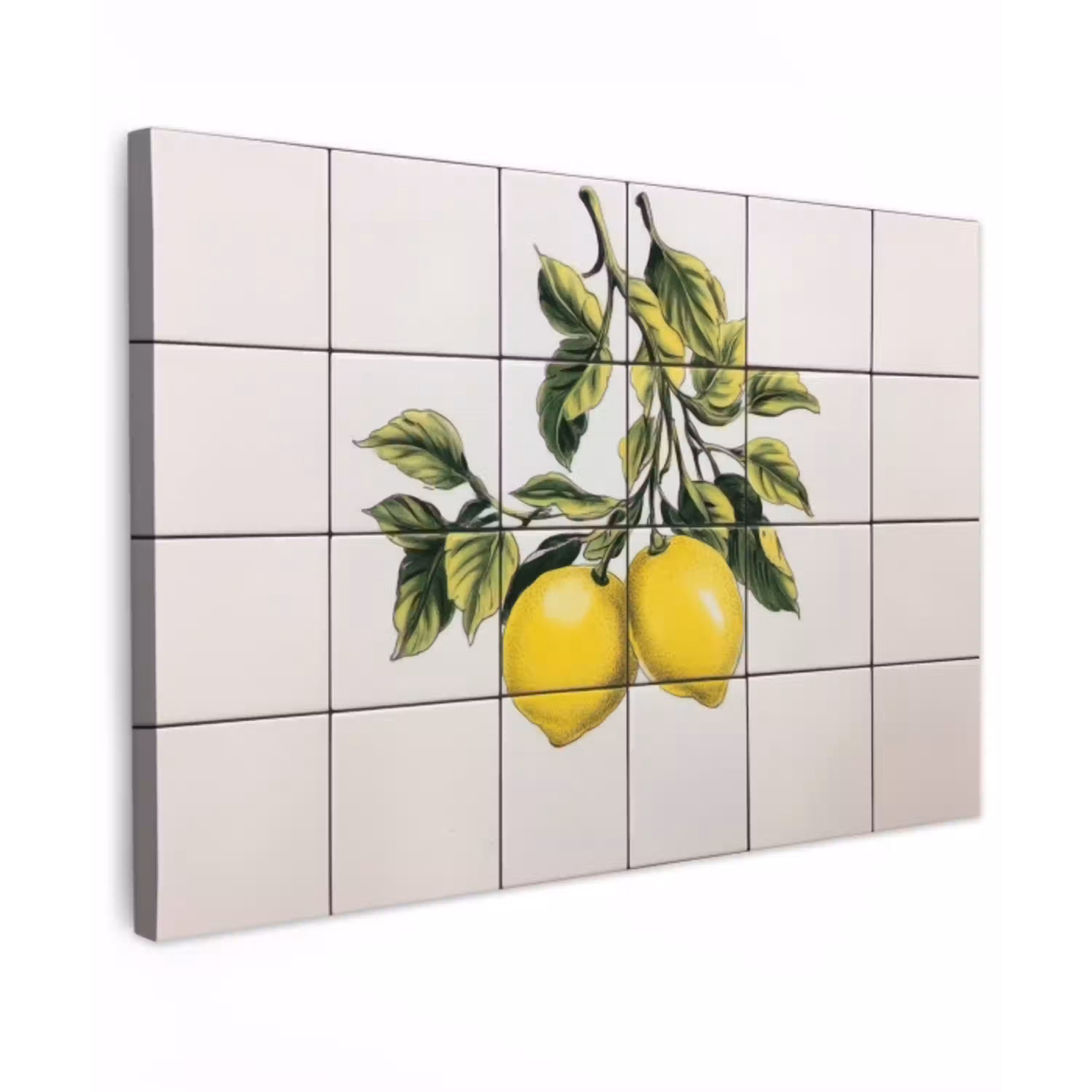 Citroen - Decoratie - Keramiek - Takken Tuinposter op houten frame 2 cm dik klein -3d