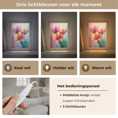 Tulpen - Lichtreflecties - Kleurverloop Light Box met kabel (Tafellamp) klein -USP_lichtkleurNL