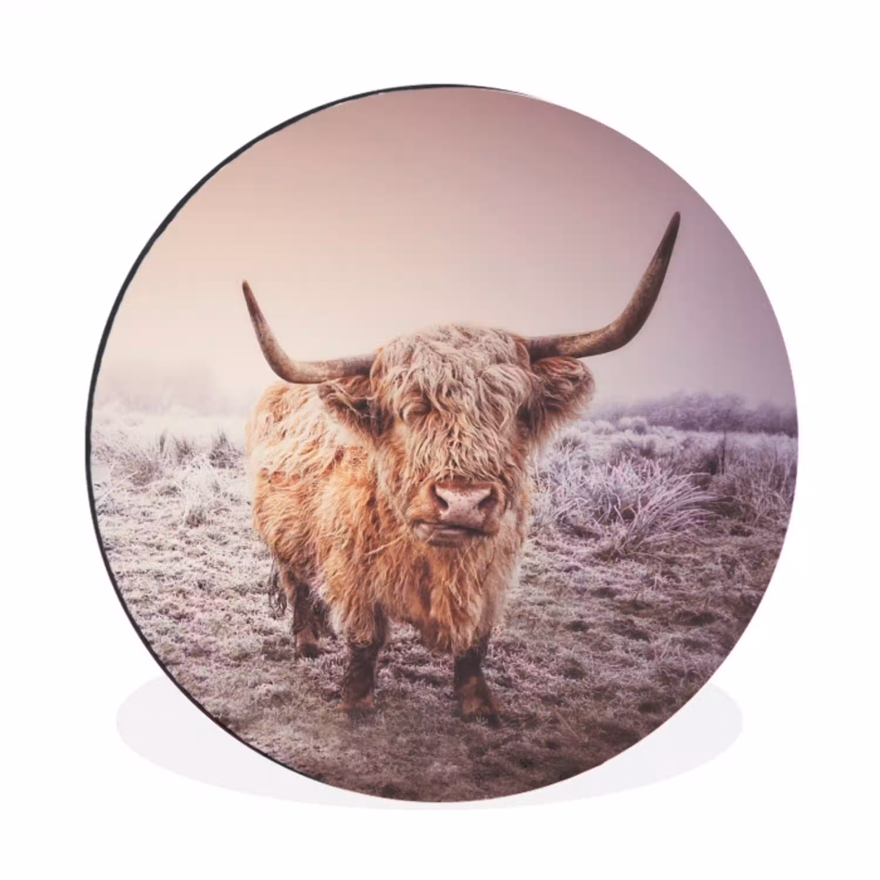 Schotse hooglanders - Licht - Lucht - Natuur Wandcirkel aluminium klein -3d