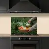 Veld - Groenten - Biologisch - Oogst keuken achterwand spatscherm klein -sfeer1