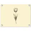 Illustratie - Tulp - Zwart tuinposter los doek klein -3d