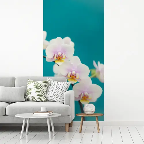 Orchidee - Bloemen - Plant - Wit - Paars fotobehang vinyl groot -woonkamer