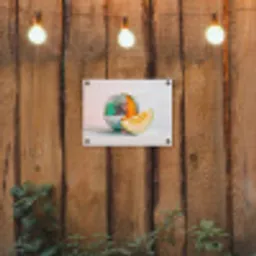 Disco - Discobal - Meloen - Pastel tuinposter los doek klein -sfeer1