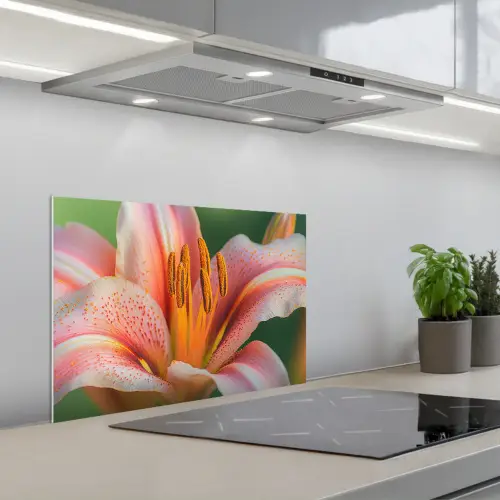 Lelie - Close up - Lichtroze keuken achterwand spatscherm klein -3d_schuin