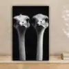 Struisvogels - Halzen - Zwart - Minimalistisch canvas 2cm klein -sfeer1