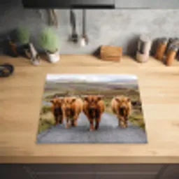 Schotse Hooglanders - Weg - Landschap - Kudde Inductie beschermer vinyl 3mm middel -sfeer5