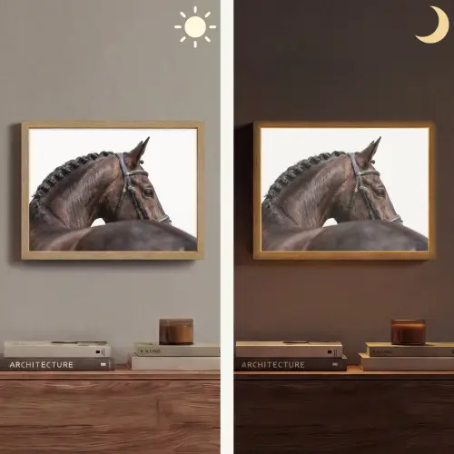 Portret - Paard - Elegant Light Box met batterij (Wandlamp) middel -sfeer3